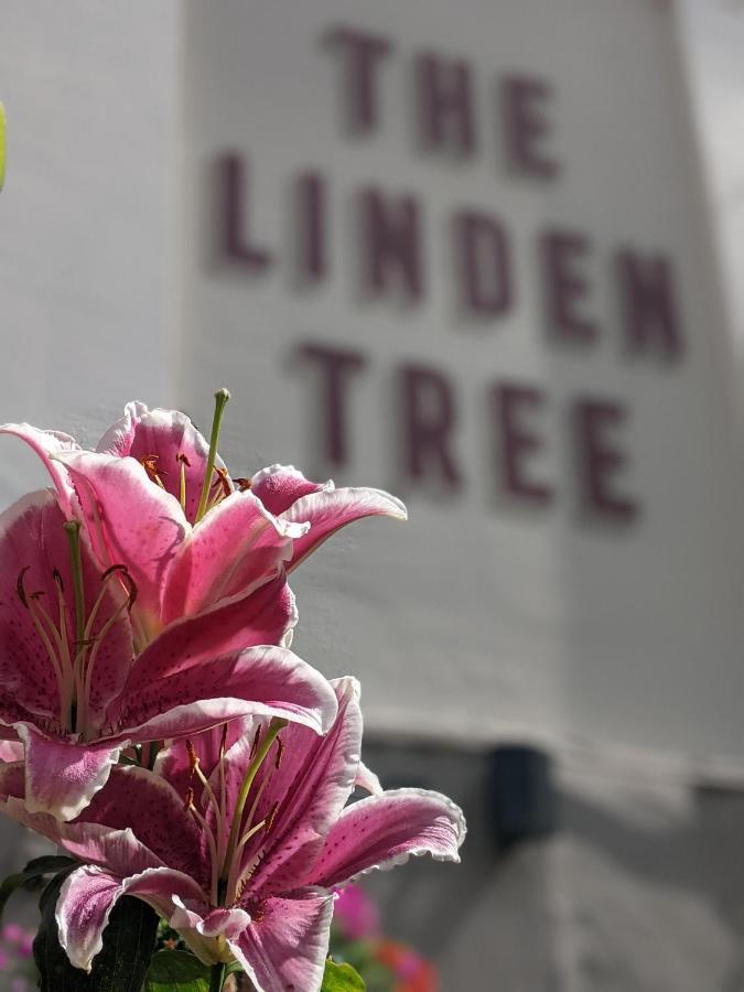 Bed and Breakfast Linden Tree Глостер Экстерьер фото